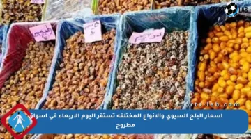 أسعار البلح السيوي والأنواع المختلفة تستقر اليوم الأربعاء في أسواق مطروح
